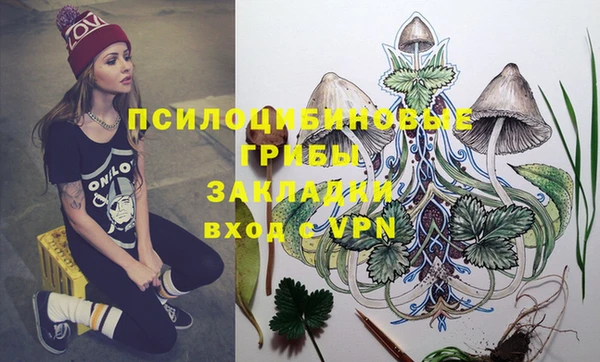 экстази Новодвинск