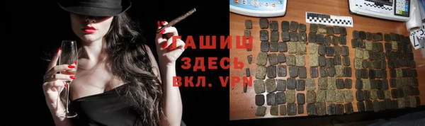 ALPHA PVP Новозыбков