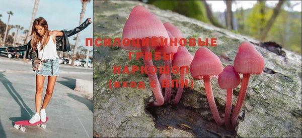 экстази Новодвинск