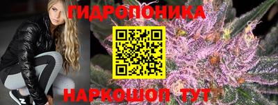 МДПВ Волжск