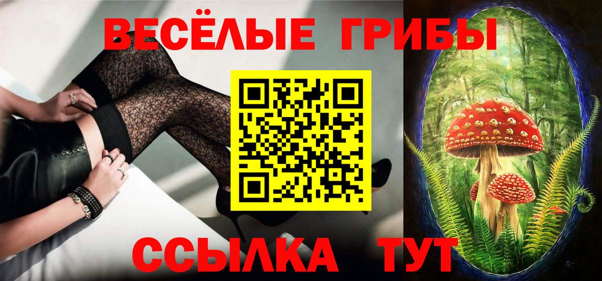 Псилоцибиновые грибы Psilocybine cubensis  Вход с VPN  Йошкар-Ола  закладки  Псилоцибиновые грибы прущие грибы 